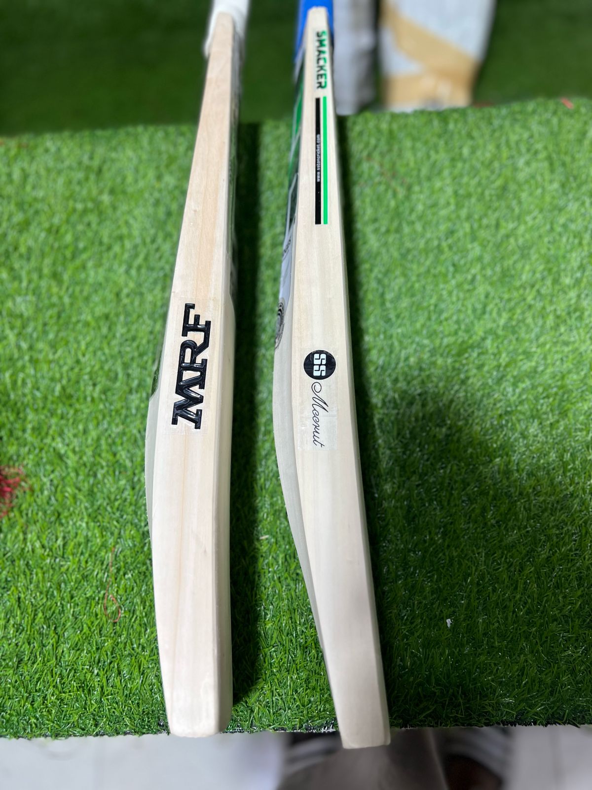 Kashmiri Willow Bat
